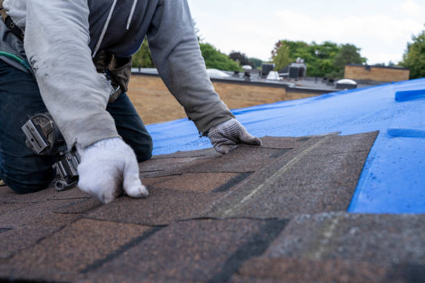 Quick and Trustworthy Emergency Roof Repair Services in Fremont Hills, MO